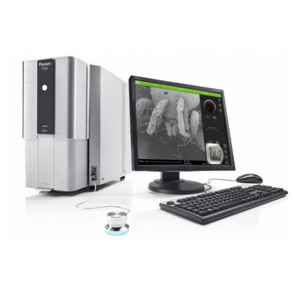 Сканирующий электронный микроскоп Phenom Pure Сканирующий электронный микроскоп Phenom Pure