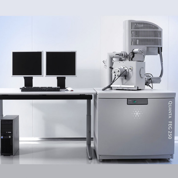 Сканирующий электронный микроскоп Qemscan 650 FEG Сканирующий электронный микроскоп Qemscan 650 FEG