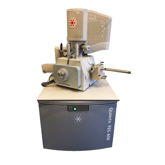 Сканирующий микроскоп FEI MLA 650 Сканирующий микроскоп FEI MLA 650